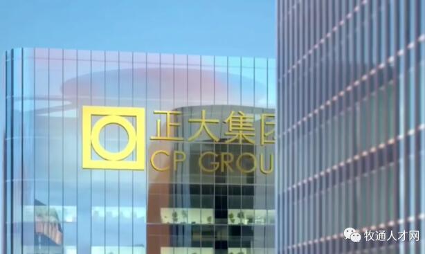 正大.png 图片