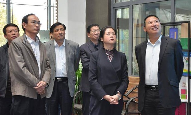 泰安市政府副市长调研宝来利来