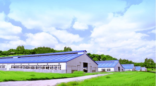 京鹏畜牧:黑龙江省示范奶牛场设计建造单位