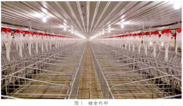 土木变革的现代化建设正悄然走来猪场建筑设计赚钱吗图片