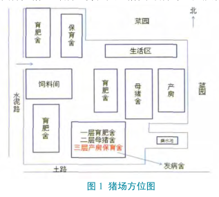 对厦门市某猪场一起仔猪副猪嗜血杆菌病的暴发调查