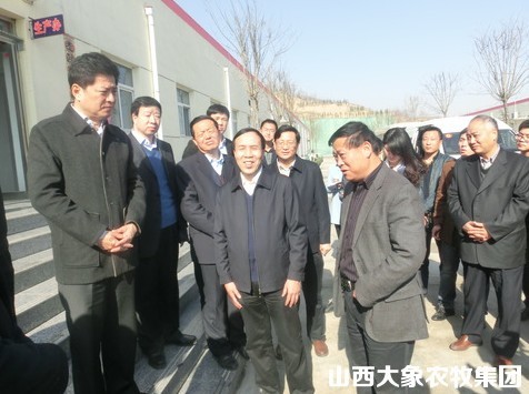 运城市委书记王茂设调研闻喜象丰-畜牧人才网