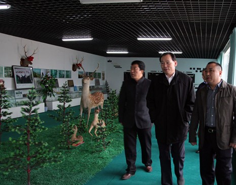 董事长董栗_董事长办公室图片