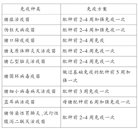 母猪免疫参考方案