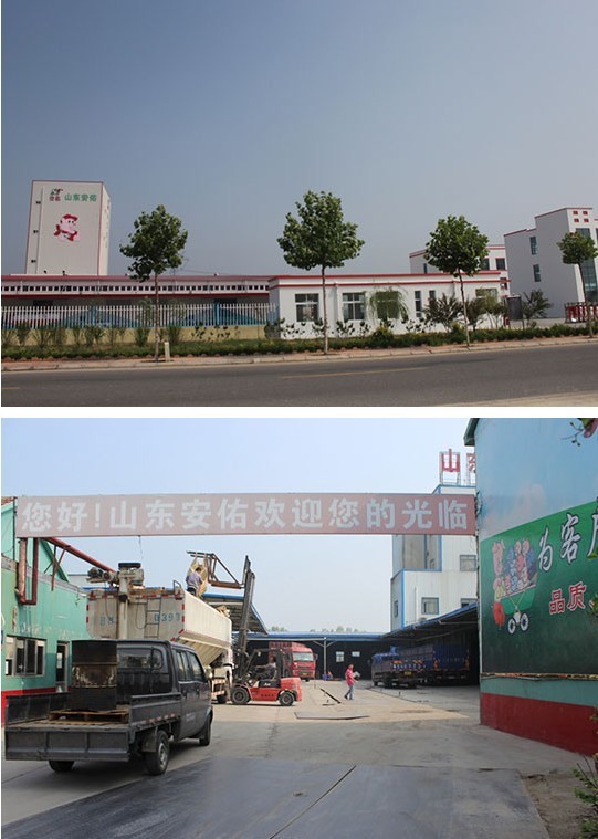 安佑家园文化铸造的辉煌山东安佑发展纪实