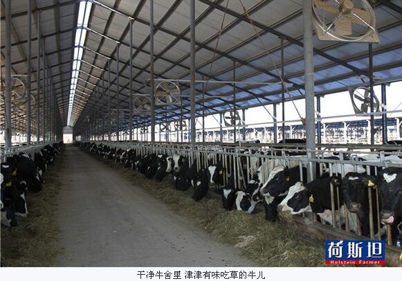 易游娱乐城- YY易游体育官方网站- 易游体育APP中国十大养牛企业排行榜