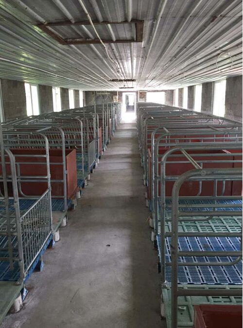 扬翔各猪场组建攻关小组 推进猪场创新与持续改善