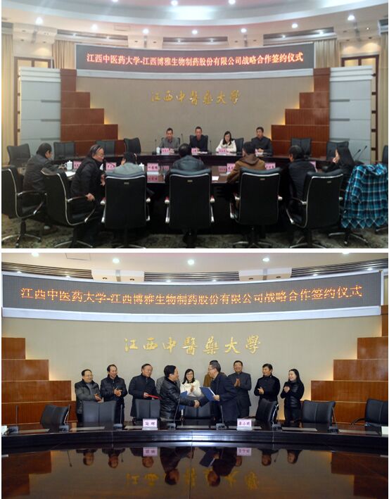 【企业与高校技术研发合作协议】