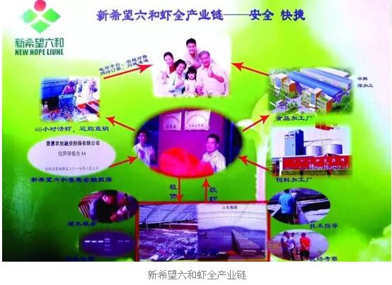 饲料巨头新希望六和布局虾全产业链,欲颠覆料