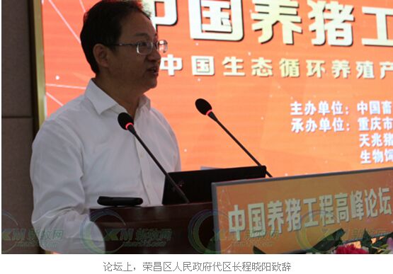 荣昌多少人口_荣昌卤鹅图片(3)