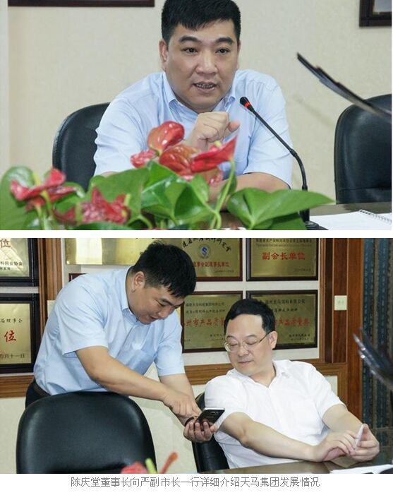 福州市严可仕副市长调研天马集团