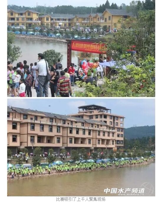 "澳华杯"鱼王争霸赛在四川省巴中市南江县红光镇玉白新渔村震撼上演