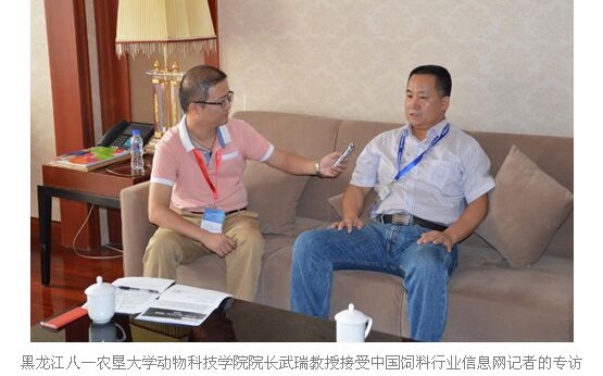 黑龙江八一农垦大学武瑞教授:"饲料无抗"的实现——人人有责