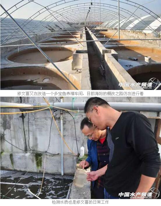 多宝鱼养殖转型养虾有何诀窍?