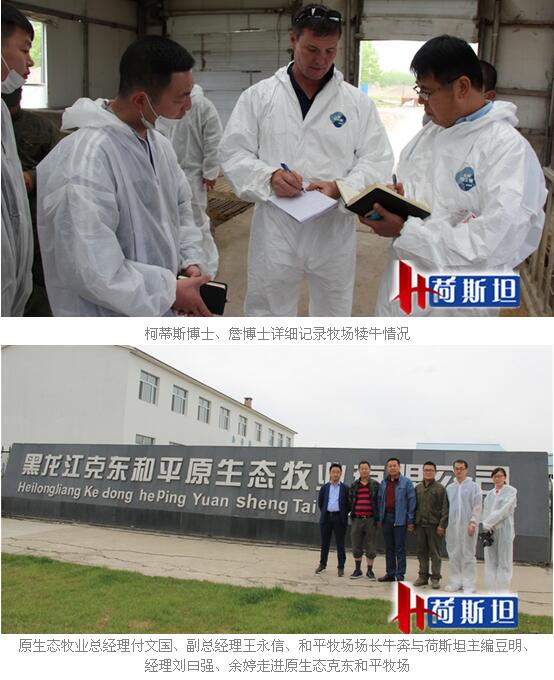 和平牧场人口_和平牧场学校照片