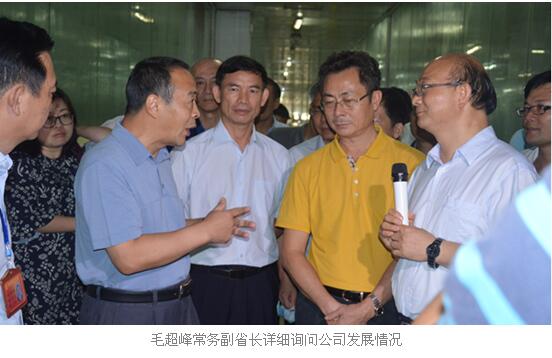 海南省常务副省长毛超峰一行莅临海南水产食品调研检查工作