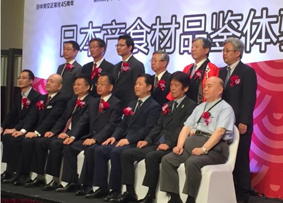 大洋世家董事长_金粉世家刘亦菲(3)