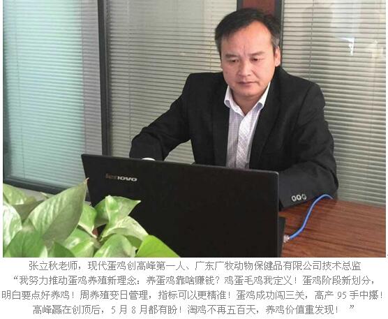 张立秋体重达标开产相差30天每只鸡产蛋相差12斤