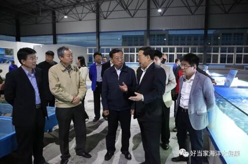 好当家董事长_董事长办公室图片