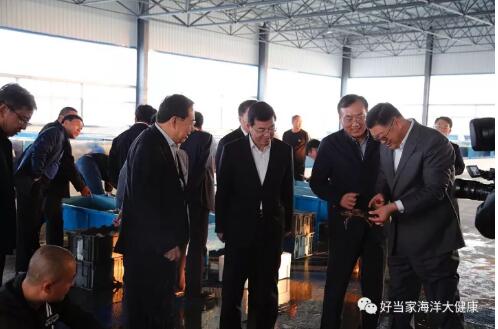 威海市委副书记,代市长张海波莅临好当家调研
