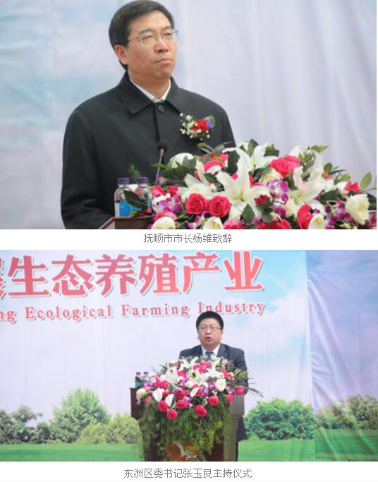 禾丰牧业董事长_禾丰牧业工业园照片(3)