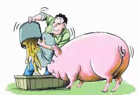 全国多地发文禁止“泔水养猪”，到底触了谁的利益池?