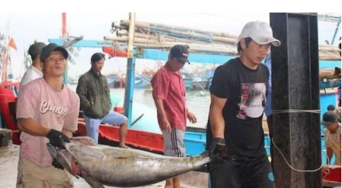 越南有多少人口2019_越南战后怎么恢复人口(3)
