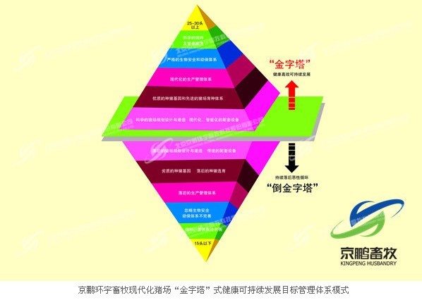 京鹏天种达成战略合作 共育中国特色种猪-畜牧人才网