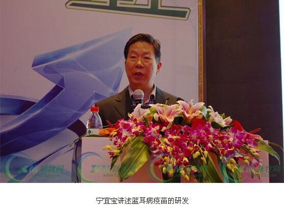 宁宜宝种公猪不建议打蓝耳病疫苗