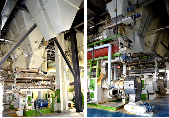 山东莱贝特30万吨膨胀舒化猪料生产线投产