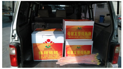 扬翔猪精四级配送要精有精不再是梦