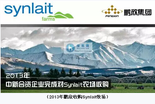 大康牧业新西兰进一步扩张鹏欣布局日渐清晰