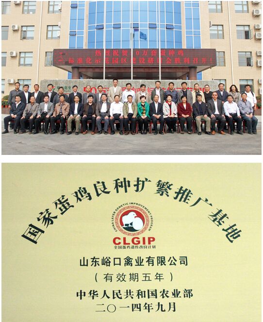 作为山东省规模最大的蛋种鸡养殖企业,山东峪口禽业公司存栏80万套,年