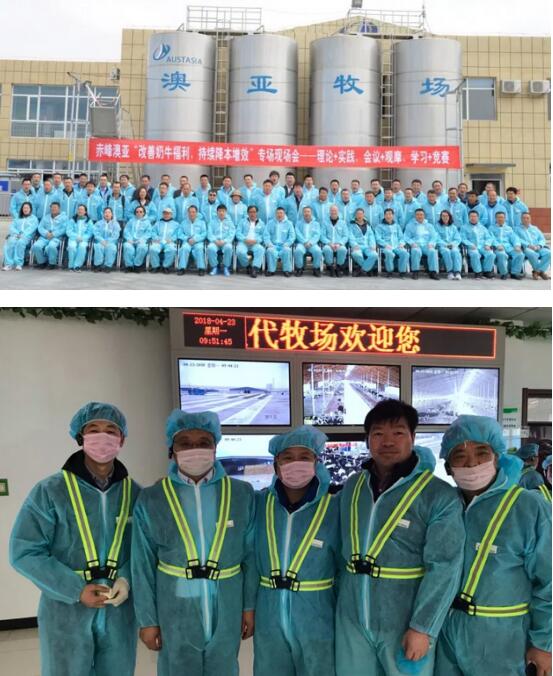 蒙牛奶源2018首次大牧场互学交流走进赤峰澳亚牧场
